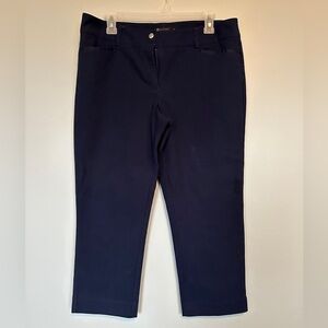 New York & Company Navy Blue Cropped Ankle Pants Tailored Fit